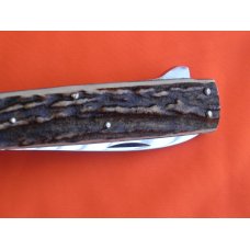 Vintage J A Henckels Premium "Show Case" Stag handled Single LockBlade (Push Lever Lock) PocketKnife Vintage J A Henckels Premium "Show Case" Stag handled Single LockBlade (Push Lever Lock) PocketKnife
