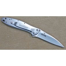 Kershaw 1660 Leek, Silver, Fine edge 