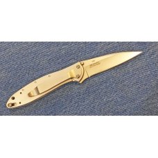 Kershaw 1660 – silver Leek, fine edge