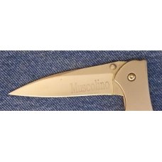 Kershaw 1660 – silver Leek, fine edge