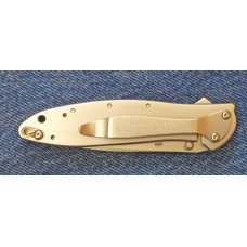 Kershaw 1660 – silver Leek, fine edge