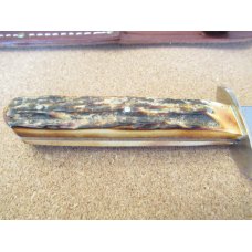 Case XX NKCA 1991 Stag handle Fixed Blade Case XX NKCA 1991 Stag handle Fixed Blade