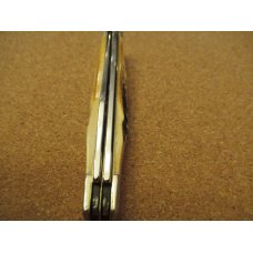 Case XX 2000 Stag Handle Trapper Pattern 5254SS