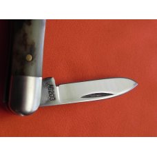 Vintage, Case xx, 9 Dot, 1981, 2 Blade Half Whittler w/ Smooth Appaloosa Bone Handles -MDL # A6208 Vintage, Case xx, 9 Dot, 1981, 2 Blade Half Whittler w/ Smooth Appaloosa Bone Handles -MDL # A6208