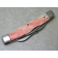 Case XX USA 2007 Red Appaloosa Bone 64052 SS Congress Knife in Box Case XX USA 2007 Red Appaloosa Bone 64052 SS Congress Knife in Box