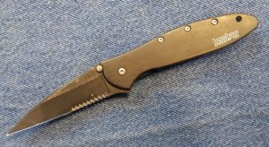 Kershaw #1660CKTST Black Leek 