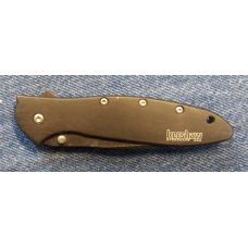 Kershaw #1660CKTST Black Leek 