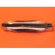Taylor Cutlery The Good Guys Wyatt Earp, Bat Masterson Theme -Gunstock PocketKnife w Great Pres Stag Taylor Cutlery The Good Guys Wyatt Earp, Bat Masterson Theme -Gunstock PocketKnife w Great Pres Stag
