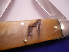 Canal Street Sunfish Sleeveboard Knife Rams's Horn Canal Street Sunfish Sleeveboard Knife Rams's Horn
