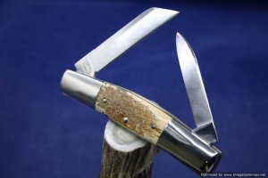 Schatt & Morgan #31 Mammoth Ivory Two Blade Congress.   #687