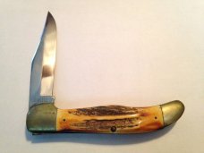 Case xx 5165 SAB stag handle. Single blade