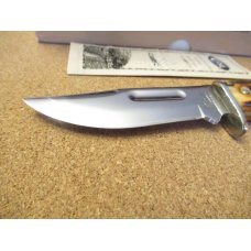 Case XX Stag Handle Fixed Blade  Pattern # 578-3 1/2 SS