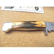 Case XX Stag Handle Fixed Blade  Pattern # 578-3 1/2 SS