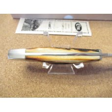 Case XX Stag Handle Fixed Blade  Pattern # 578-3 1/2 SS
