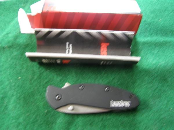 Kershaw Scallion 1620SWBLK Mint Knife Assist