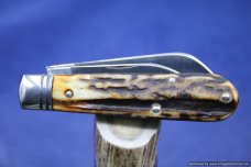 Queen City Cutlery #69 Sambar Stag Barlow. 1 of 15 Issued. #627 Queen City Cutlery #69 Sambar Stag Barlow. 1 of 15 Issued. #627