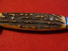 Case XX Razor Edge 516-5 SSP Stag Fixed Blade Case XX Razor Edge 516-5 SSP Stag Fixed Blade