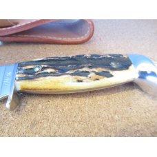 Case XX USA Stag Handle Fixed Blade Pattern # 5361 Rare 