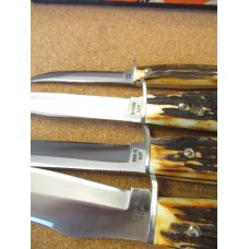 1976 Case XX Stag Handle Fixed Blades Razors Edge (Grey Etch) in Punkin Box 1976 Case XX Stag Handle Fixed Blades Razors Edge (Grey Etch) in Punkin Box