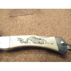 Schrade Cutlery  Scrimshaw  Model 511SC