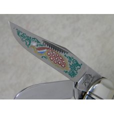 Bulldog Brand Solingen Germany Abalone Sowbelly Stockman Knife with Peacock Etch in Box 1 of 100