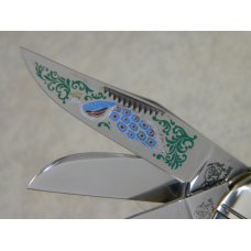 Bulldog Brand Solingen Germany Abalone Sowbelly Stockman Knife with Peacock Etch in Box 1 of 100