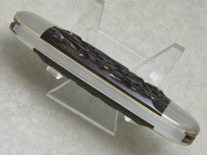 Bulldog Brand Germany Deep Jigged Bone Black Rhinoceros Elephant Toe Knife in Box c.1995 Bulldog Brand Germany Deep Jigged Bone Black Rhinoceros Elephant Toe Knife in Box c.1995