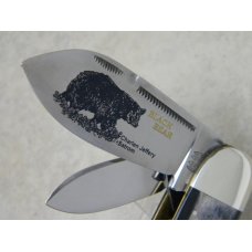 Bulldog Brand Germany Buffalo Horn Black Bear 4 Blade Congress Elephant Toe Knife in Box c.2003 Bulldog Brand Germany Buffalo Horn Black Bear 4 Blade Congress Elephant Toe Knife in Box c.2003