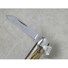 Queen Steel #5 Winterbottom Bone Miniature Pen Knife - No Tang Stamp - Etched - 1960's Queen Steel #5 Winterbottom Bone Miniature Pen Knife - No Tang Stamp - Etched - 1960's
