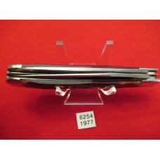 1977 CASE XX Bone Handle CV Trapper Pattern # 6254 1977 CASE XX Bone Handle CV Trapper Pattern # 6254