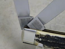 Bulldog Brand Hammer Forged Solingen Germany "Kentucky Thorobred" Bone Stag Trapper Knife Bulldog Brand Hammer Forged Solingen Germany "Kentucky Thorobred" Bone Stag Trapper Knife