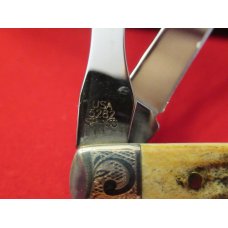 Case XX Stag Handle Doctors Knife Set with Carring Case Case XX Stag Handle Doctors Knife Set with Carring Case