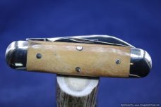 Schatt & Morgan #65 Mammoth Ivory Baby Sunfish. 100 Issued. #681 Schatt & Morgan #65 Mammoth Ivory Baby Sunfish. 100 Issued. #681