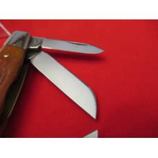  Great Eastern Tidioute  Burnt Orange Bone Congress Pattern # 613409