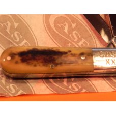 1979 Case xx USA Barlow w/ Beautiful Appaloosa Bone handles #A62009 1/2 -Great Snap and NO Wobble 1979 Case xx USA Barlow w/ Beautiful Appaloosa Bone handles #A62009 1/2 -Great Snap and NO Wobble