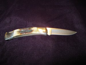 Buck 501 Stag Squire Knife