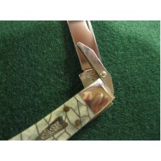 Case Knife XX USA 611-1/2L SS Cheetah Cub Arrow Head Knife Case Knife XX USA 611-1/2L SS Cheetah Cub Arrow Head Knife