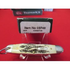 Case XX JR Scout Bone Stag Pattern # 6.54090R Case XX JR Scout Bone Stag Pattern # 6.54090R