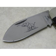 Case XX USA 4 Dot (1976) Wood 6250 Elephant Toe Knife
