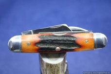 Fight'n Rooster Pearl Sowbelly 1988 Club Knife - Mint Fight'n Rooster Pearl Sowbelly 1988 Club Knife - Mint