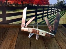 Hen and Rooster Stepped Bolsters STAG Congress