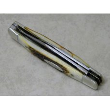 Case XX Stainless USA 2 Dot (1978) Stag 52032 SSP Red Etch Jack Knife Case XX Stainless USA 2 Dot (1978) Stag 52032 SSP Red Etch Jack Knife