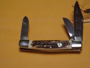 German Eye Stag Stockman