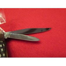 Case 10  Dot Stockman Pattern 6244