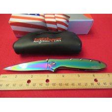 Kershaw Rainbow Leek Model 1660VIB