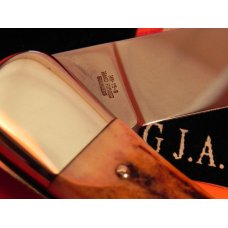 J A Henckels Lg 5" Folding Hunter (HK19-S) with Great Stag Handles & Gold Scroll Blade Etch +Sheath