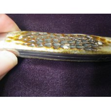 Case XX USA Muskrat 2 Dot 1978 Pretty Bone Knife Case XX USA Muskrat 2 Dot 1978 Pretty Bone Knife