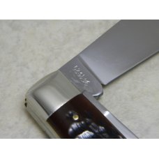 Case XX USA 1965-69 Pretty Bone 6231 1/2 Large Jack Knife Case XX USA 1965-69 Pretty Bone 6231 1/2 Large Jack Knife