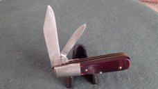 Case XX Stainless USA 3 Dot (1977) Stag 5111 1/2 Blue Scroll Knife - Mint Case XX Stainless USA 3 Dot (1977) Stag 5111 1/2 Blue Scroll Knife - Mint