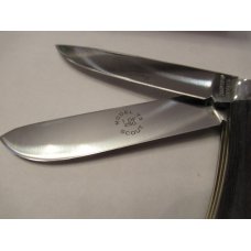 Great Eastern Bocote Model 73 Scout Great Eastern Bocote Model 73 Scout